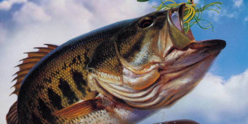 The Bass Strike Box art featuring a bass swallowing bait
