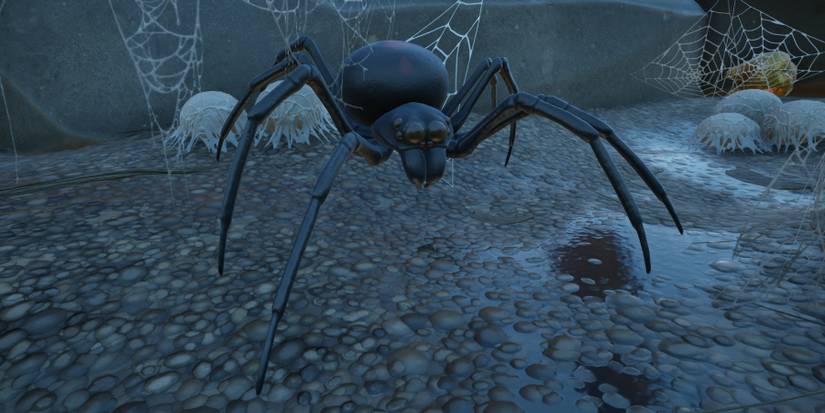 Black Widow in grounded