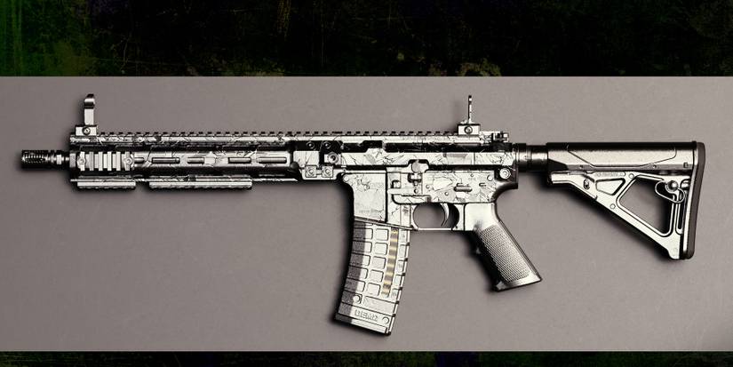 Call of Duty Modern Warfare 2 Platinum Camo