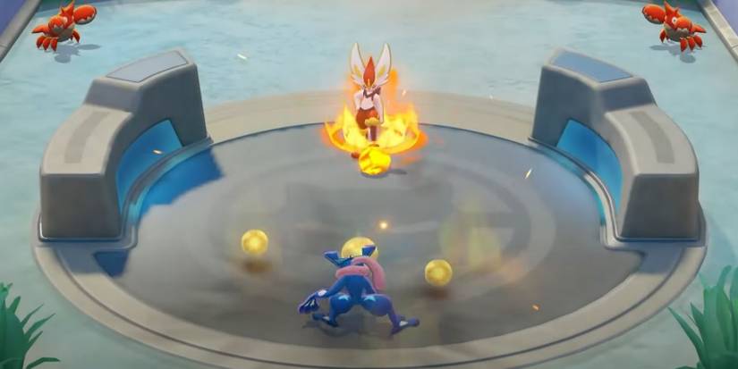 Cinderace about to engage in a duel