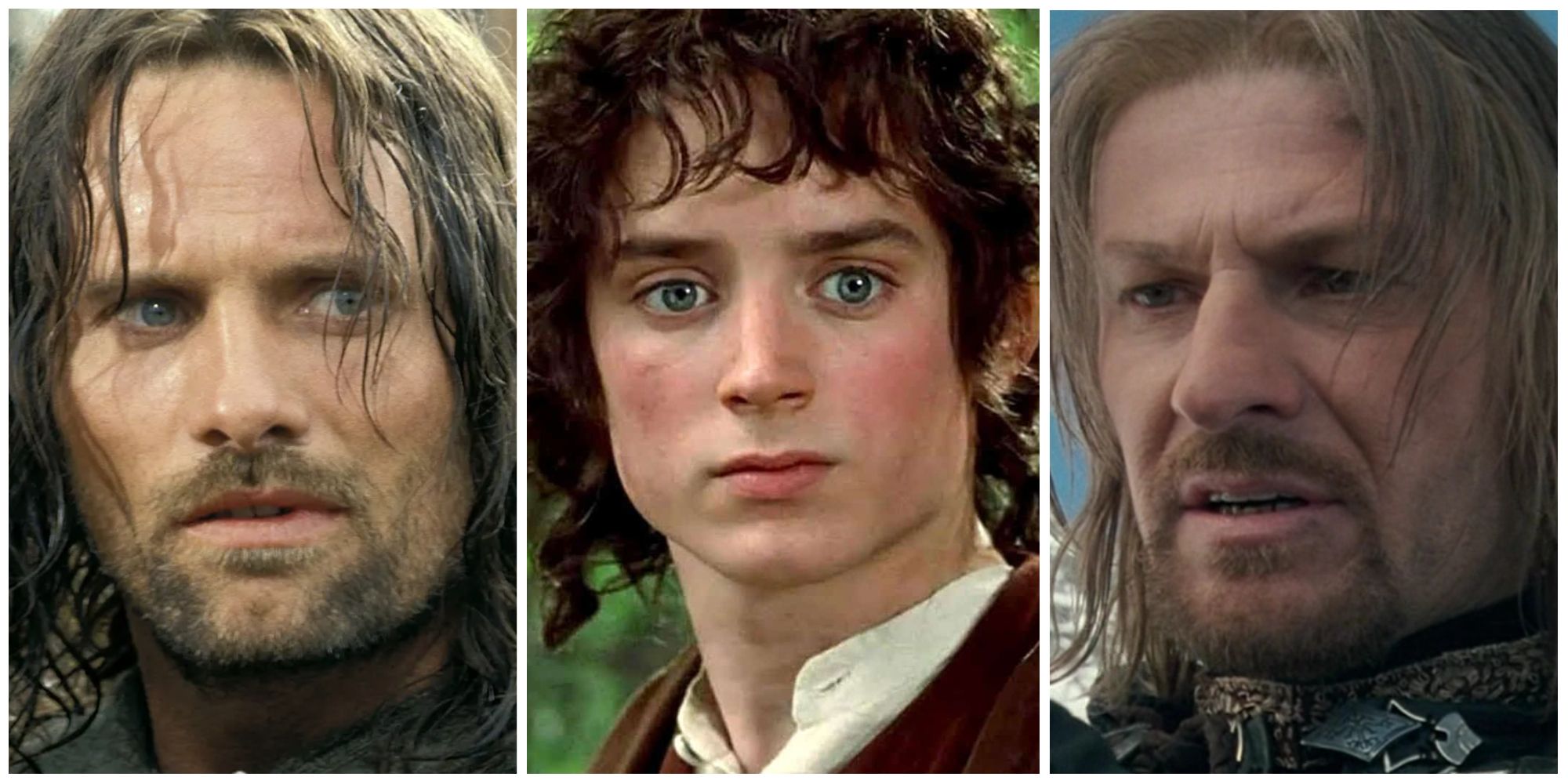 Lord of the Rings: The Fellowship, Ranked By Bravery