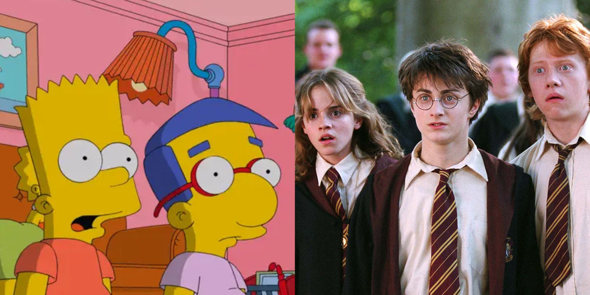 The Simpsons and Harry Potter