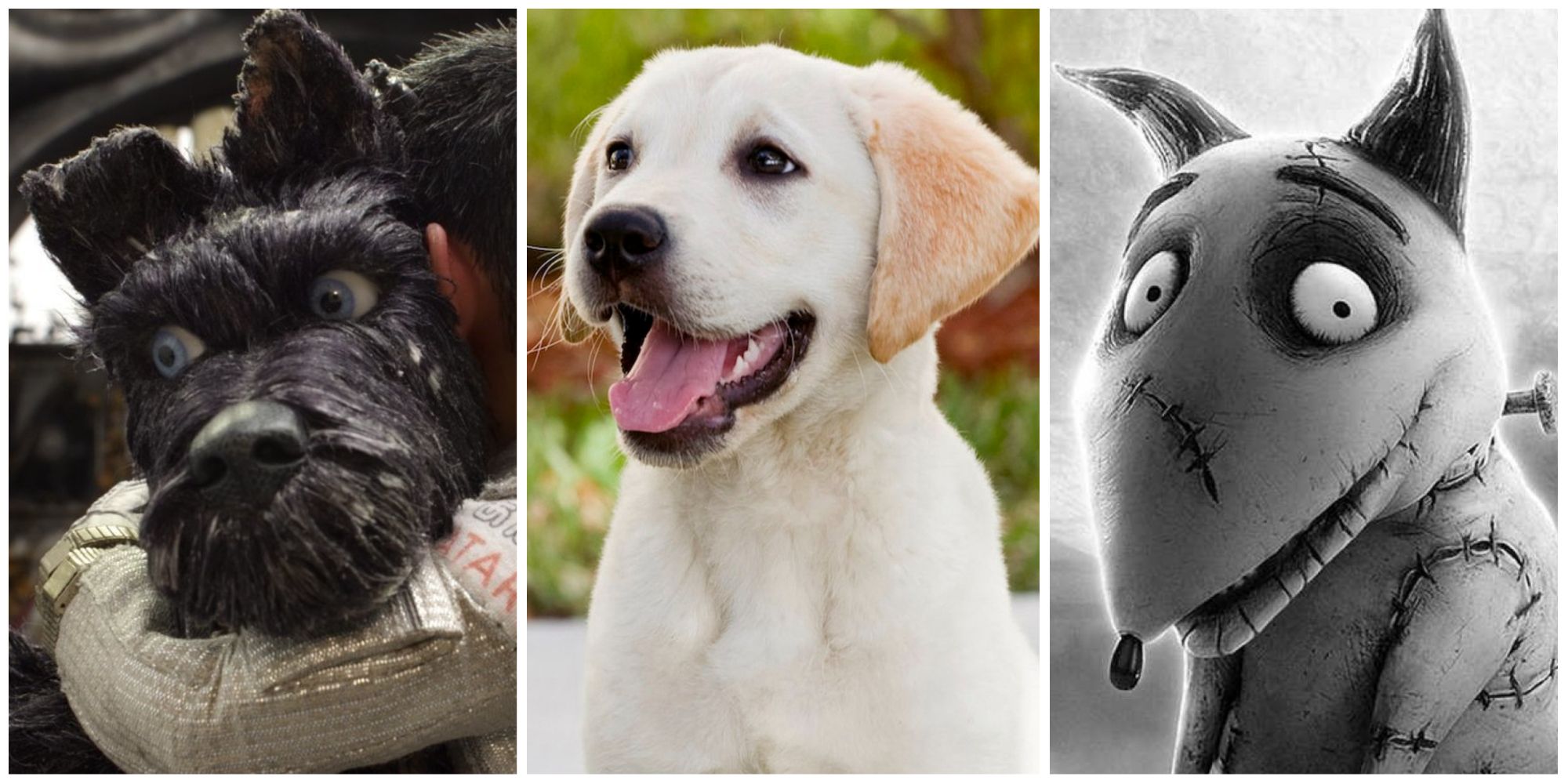 10 Iconic Movie Dogs. Isle of Dogs (left), Marley and Me (center), and Frankenweenie (right)