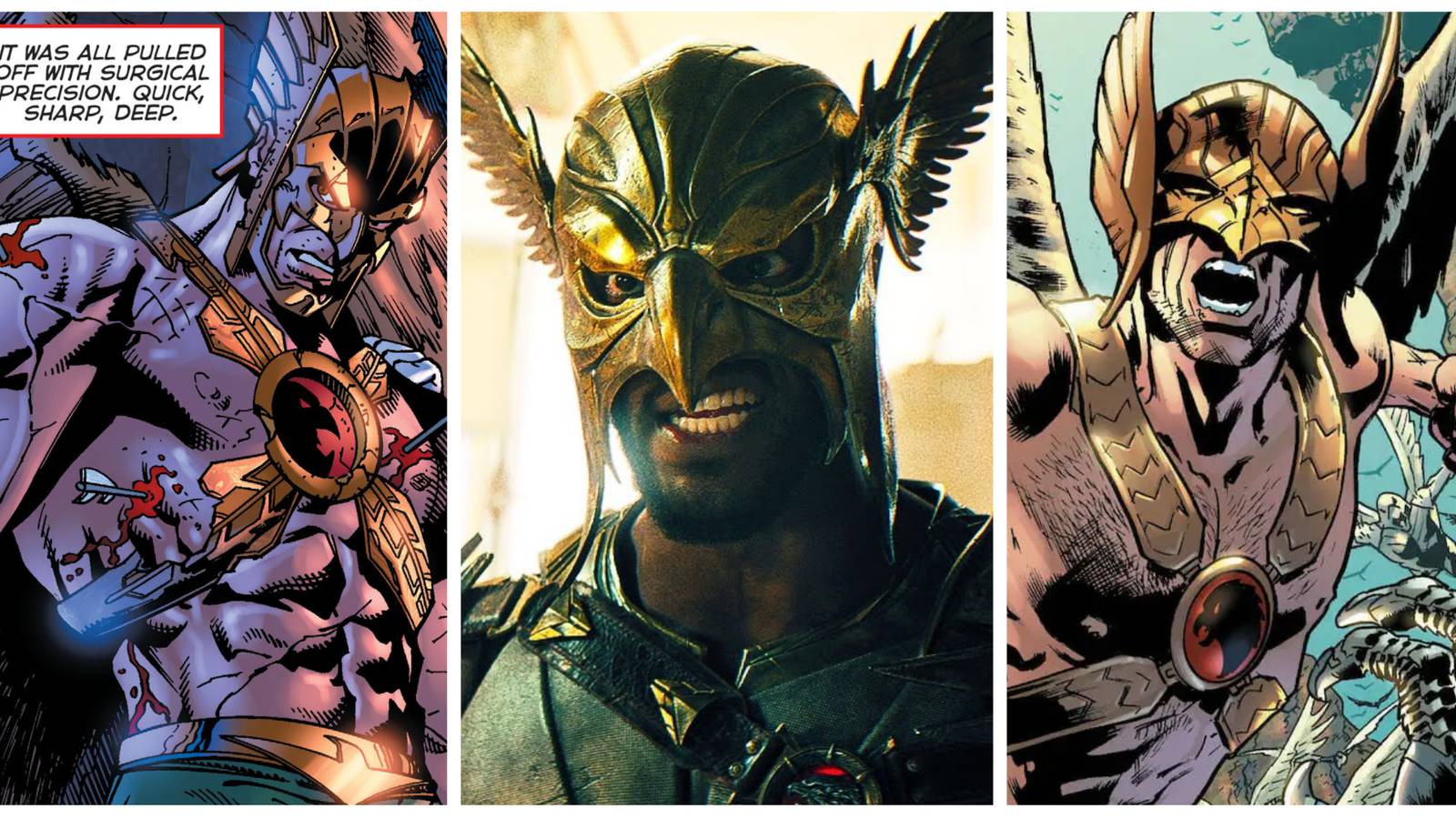 black adam's hawkman played by aldis hodge and hawkman from dc comics
