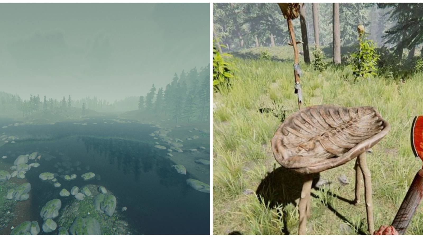 The Forest: How To Get Clean Water