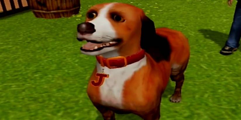 A dog named Jake who wears a J on his collar in Dog's Life