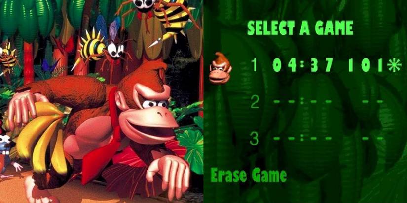 Donkey Kong Country 101 save file