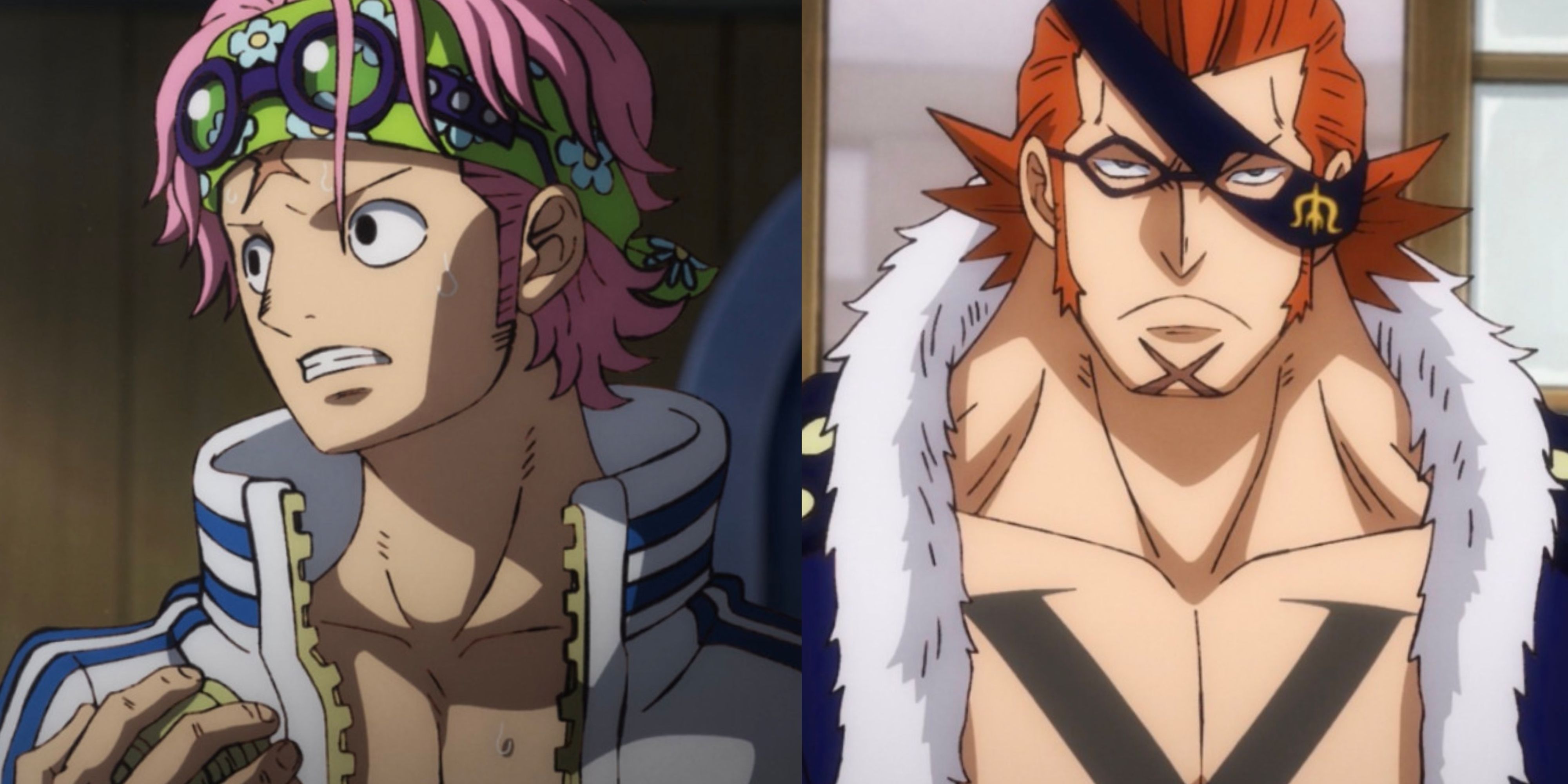 All Known Sword Members In One Piece