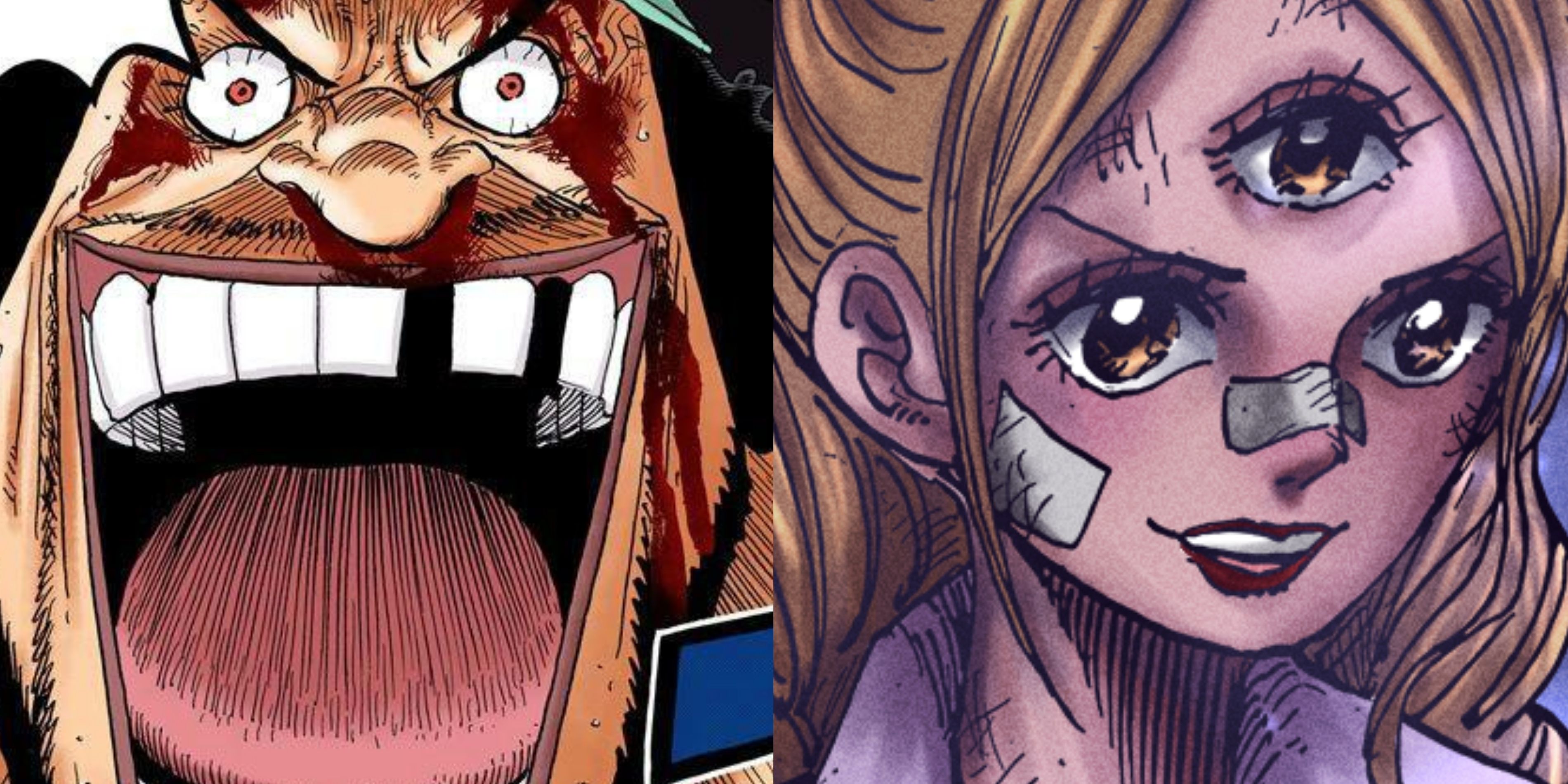 One Piece: The Fate Of Pudding, Explained