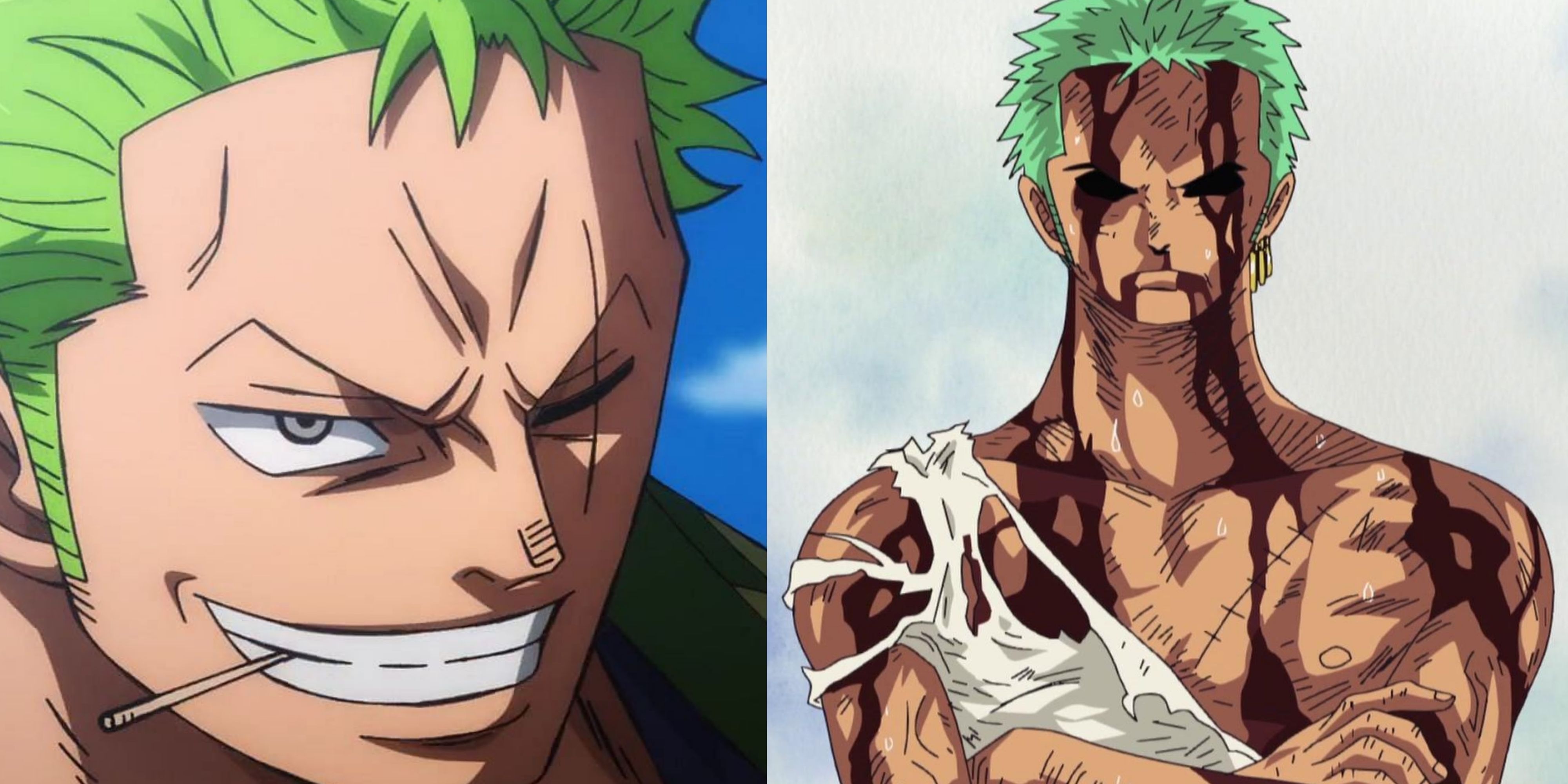 One Piece: Things That You Might Not Know About Roronoa Zoro