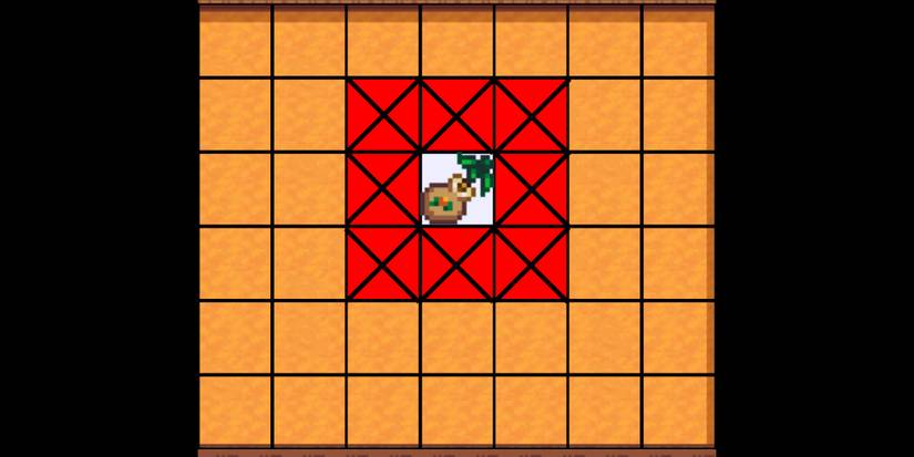 Fruit Tree Placement Stardew Valley