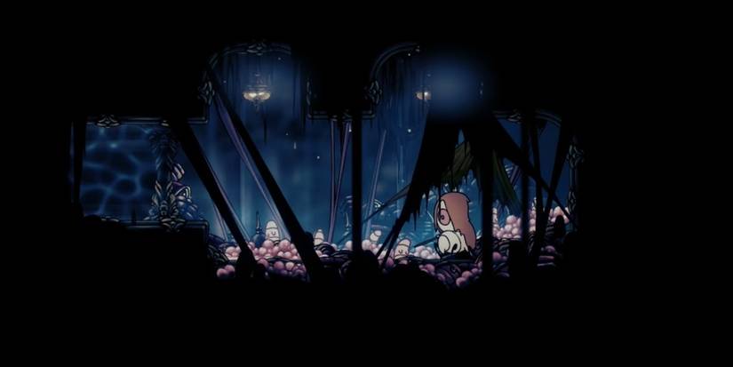 Hollow Knight Fluke Hermit Room