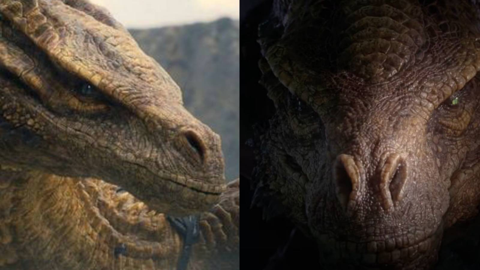 House-of-the-Dragon-1