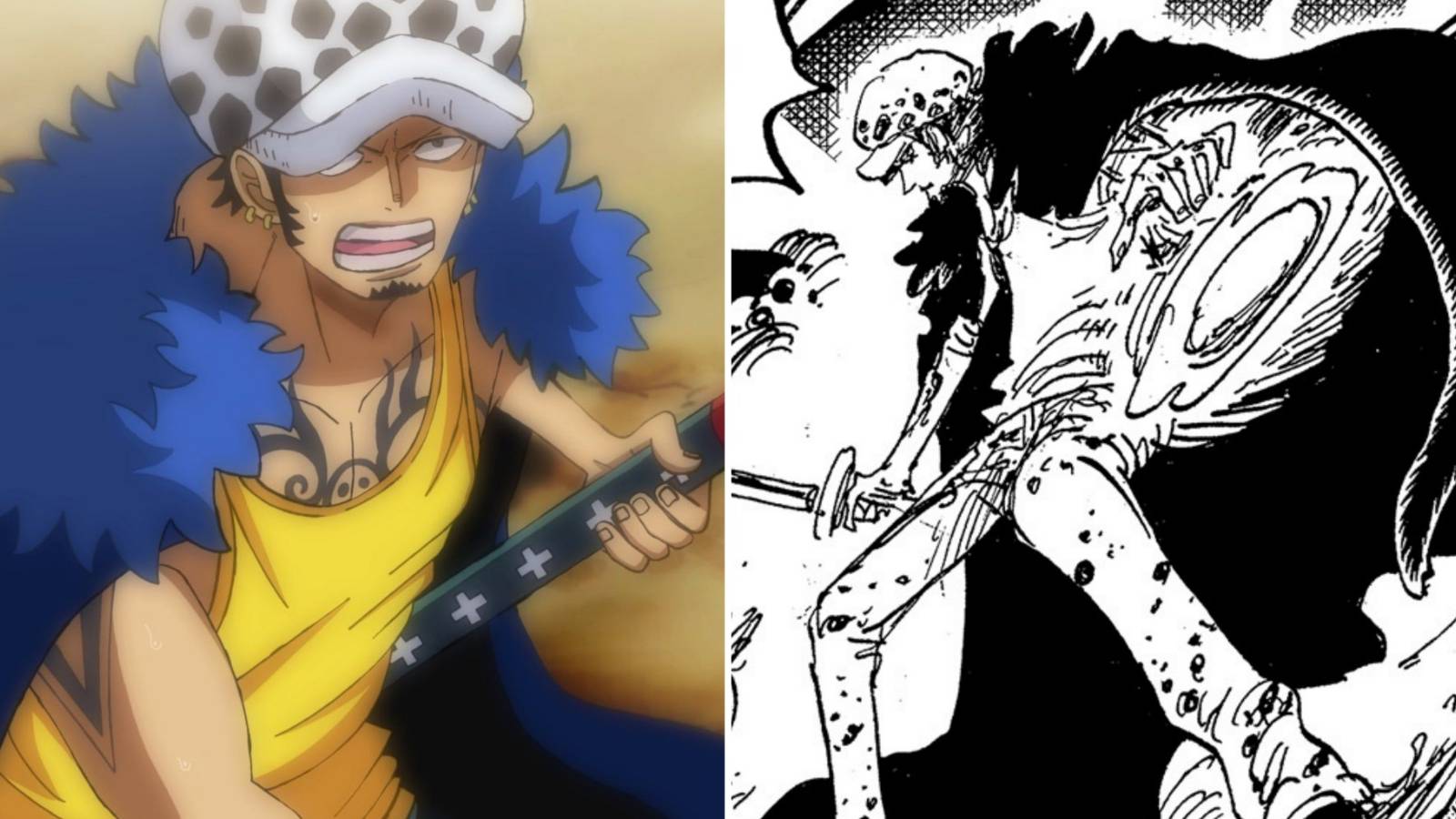 Law New Haki One Piece