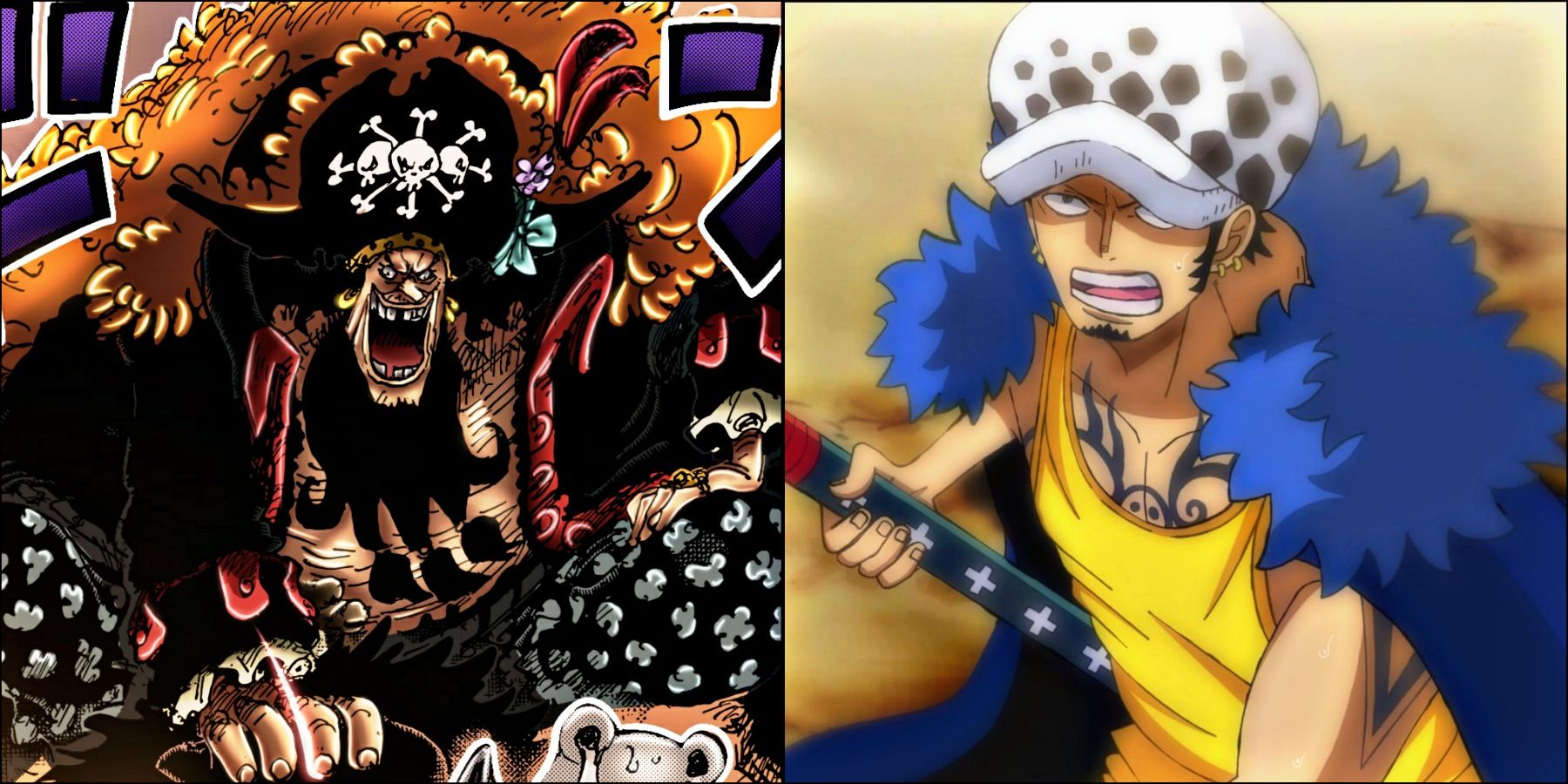 The Real Reason Why Blackbeard aiming Mero Mero no Mi EXPLAINED