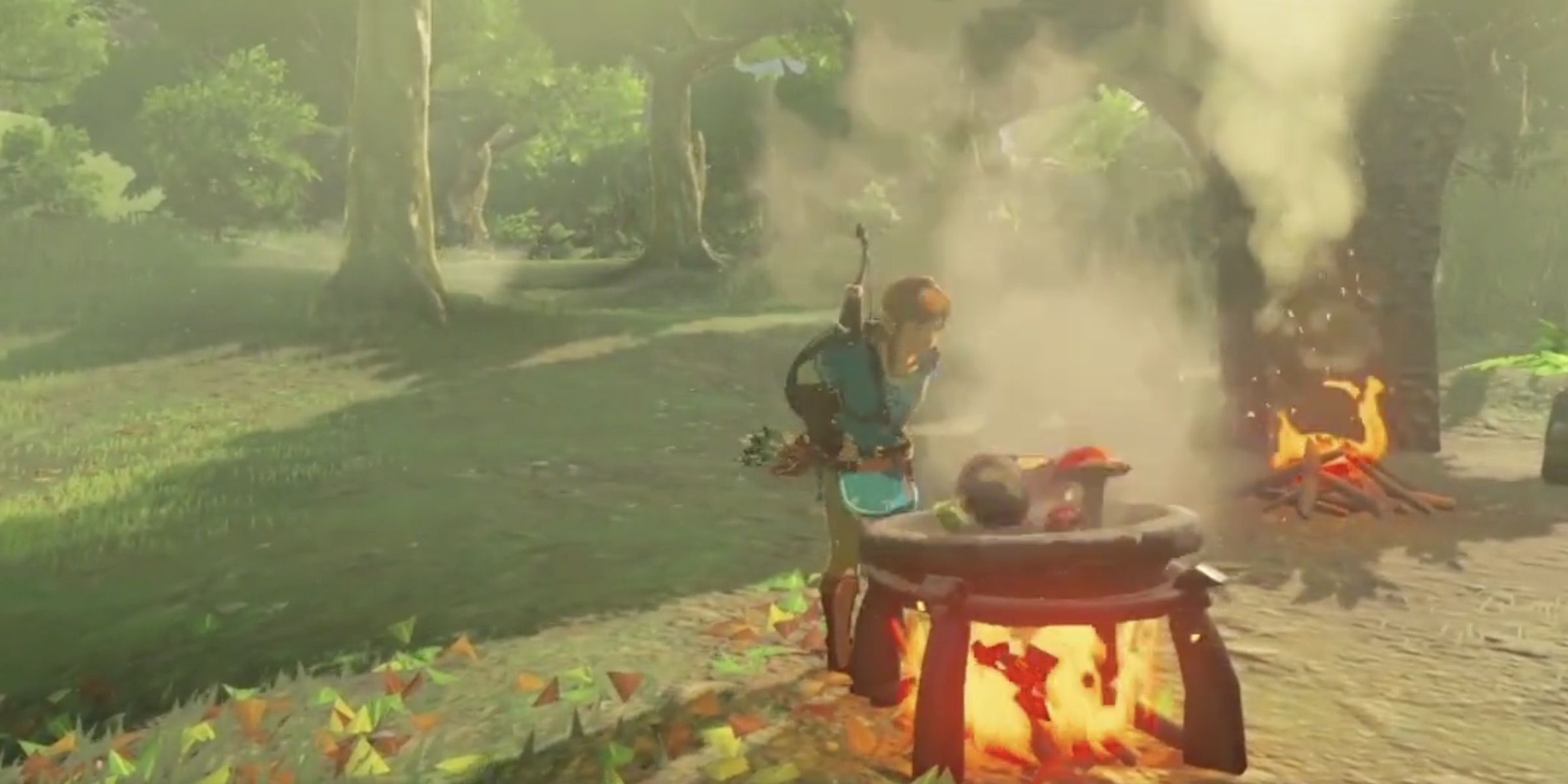 Link making a meal in Breath of the Wild