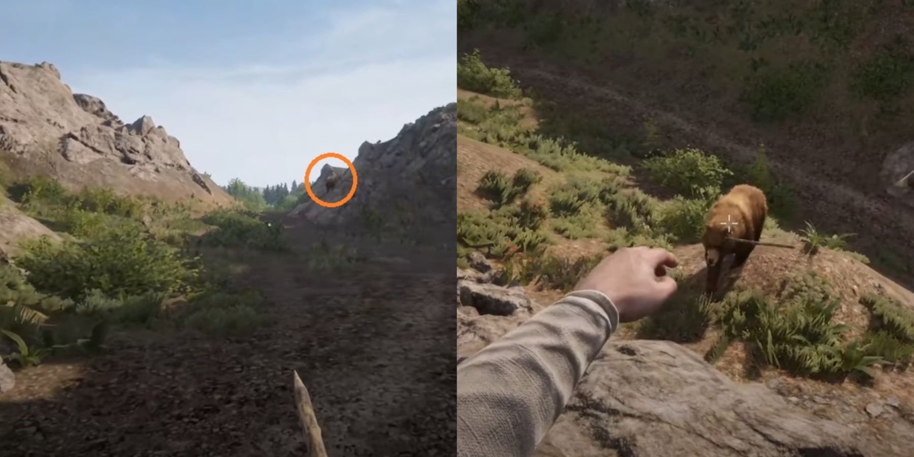 Medieval Dynasty: Where to Find Bears