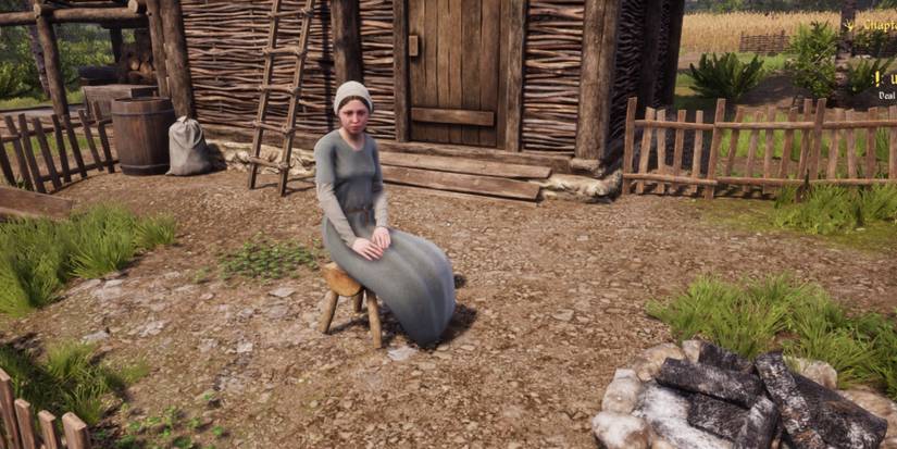 Medieval Dynasty Recruit By A Campfire