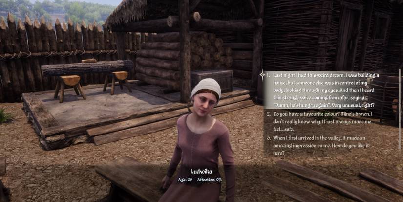 Medieval Dynasty Romancing Ludwika