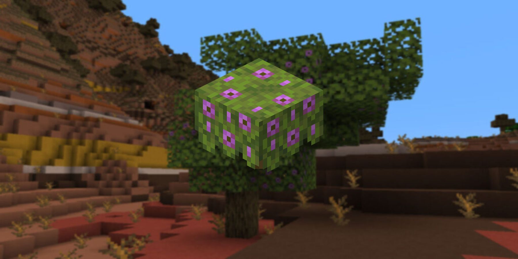 Minecraft's Azalea that can be grown into an Azalea tree.