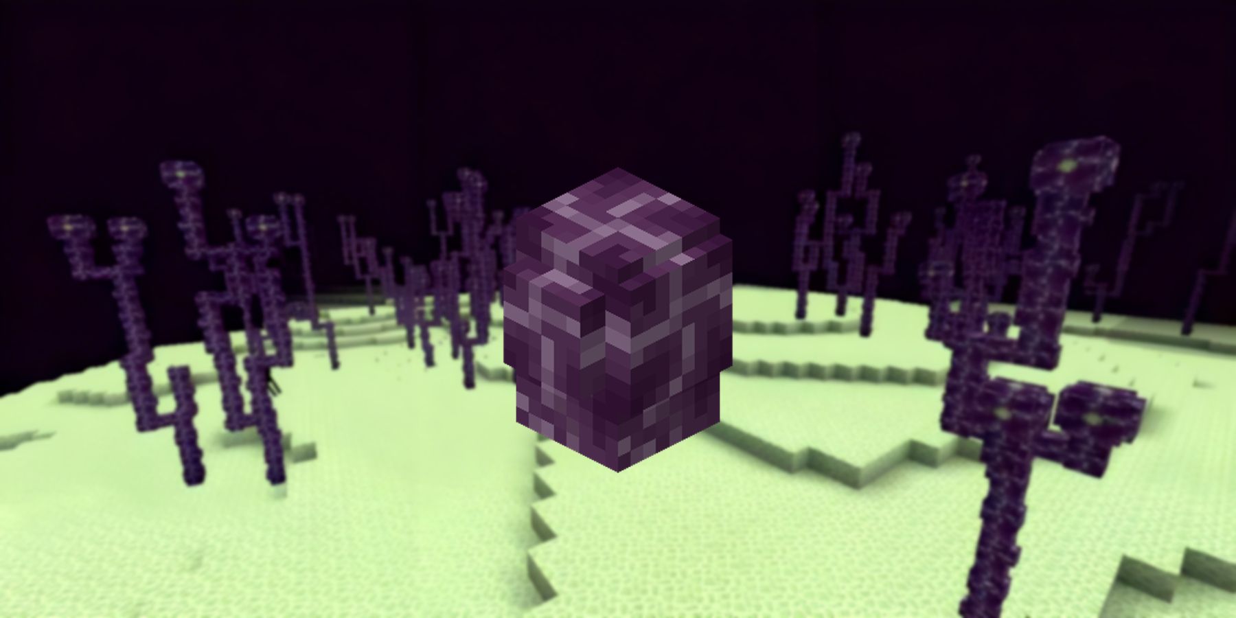 Minecraft's Chorus Plant Block found in The End.