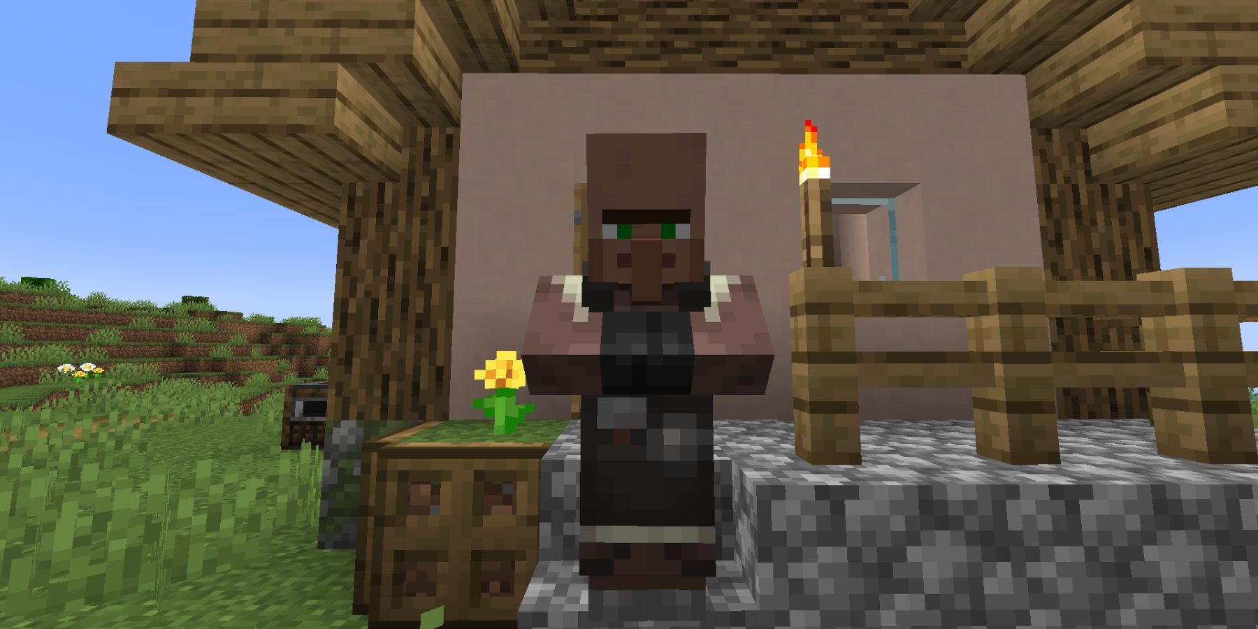 Minecraft Mason In Front Of House