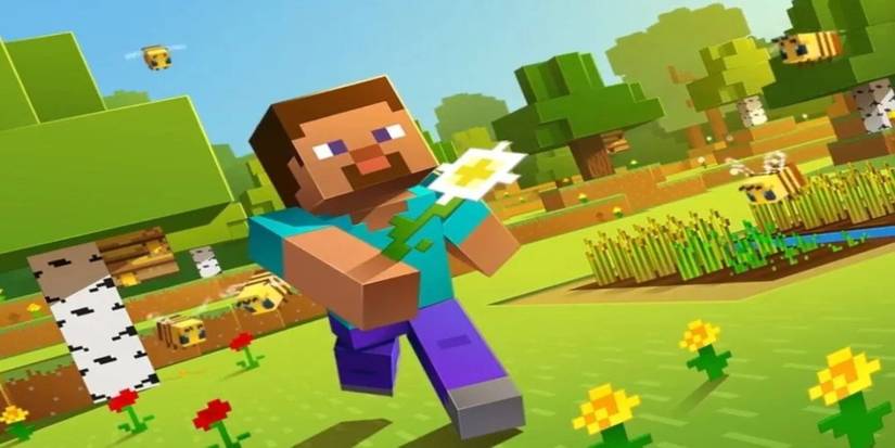 Minecraft Steve