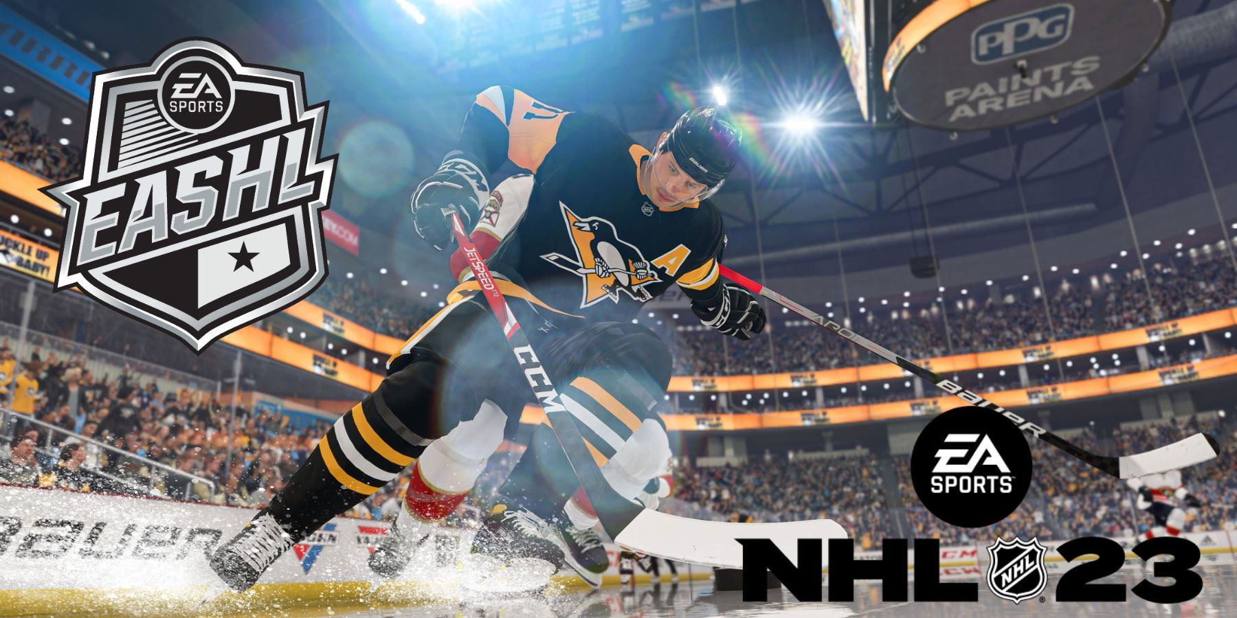 6V6 DIVISION 1  NHL 23 EASHL 