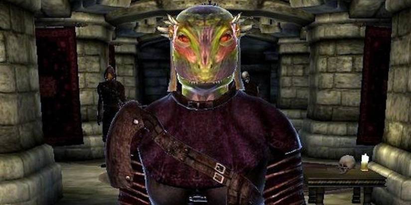 A close up of Ocheeva from the Elder Scrolls 4: Oblivion