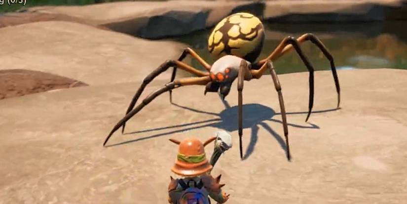 Orb Weaver grounded (1)