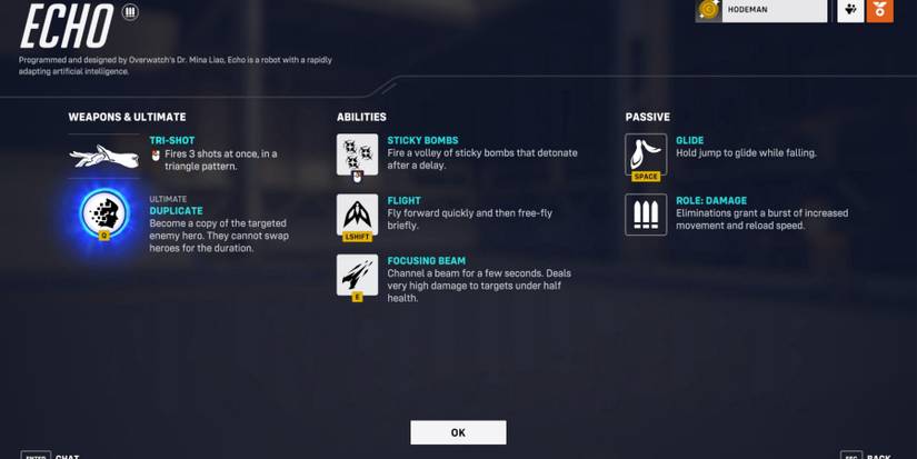 Overwatch 2 Echo Abilities