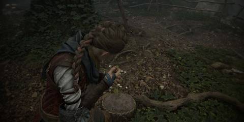 PlagueTaleRequiemHerbarium2PuttingChamomileInHair