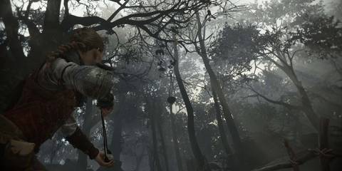 PlagueTaleRequiemHerbarium2ShootingDownPots