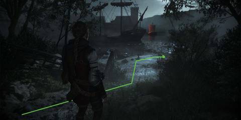 PlagueTaleRequiemHerbarium3GentianPathDownToShore