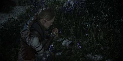 PlagueTaleRequiemHerbarium3GentianPicked
