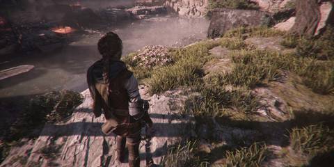 PlagueTaleRequiemHerbarium4AnemonePatch