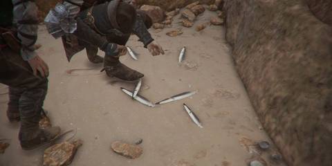 PlagueTaleRequiemHerbarium6BlackHeadedGullFeathers