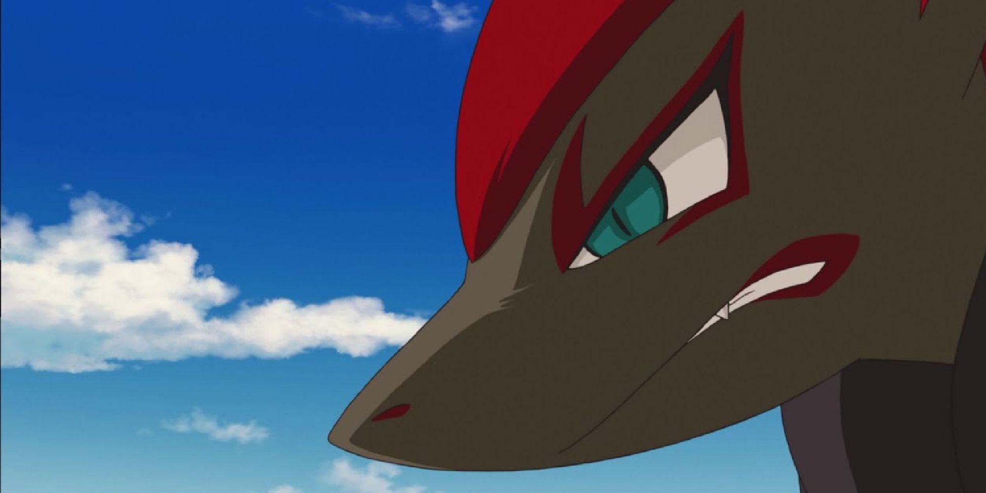 A close-up of a fierce-looking Zoroark