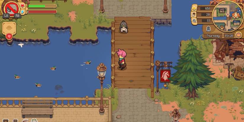 Looking at ducks in Potion Permit