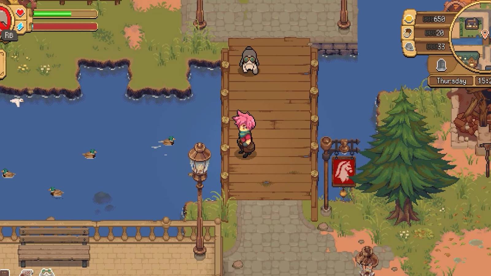 Potion Permit_Potion House_Ducks