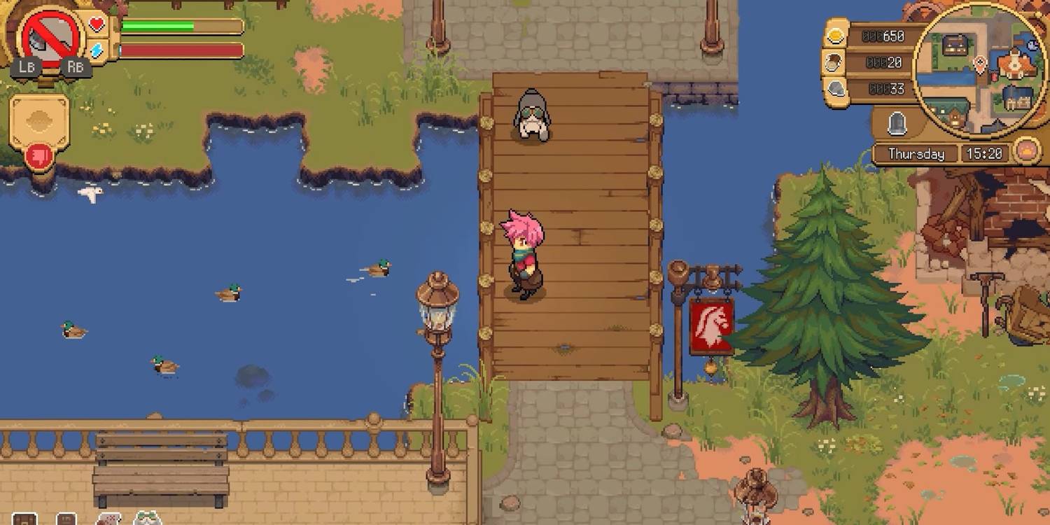 Potion-Permit_Potion-House_Ducks.jpg (1500×750)