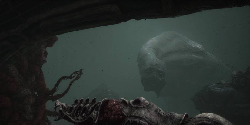 Scorn Conserving Ammo