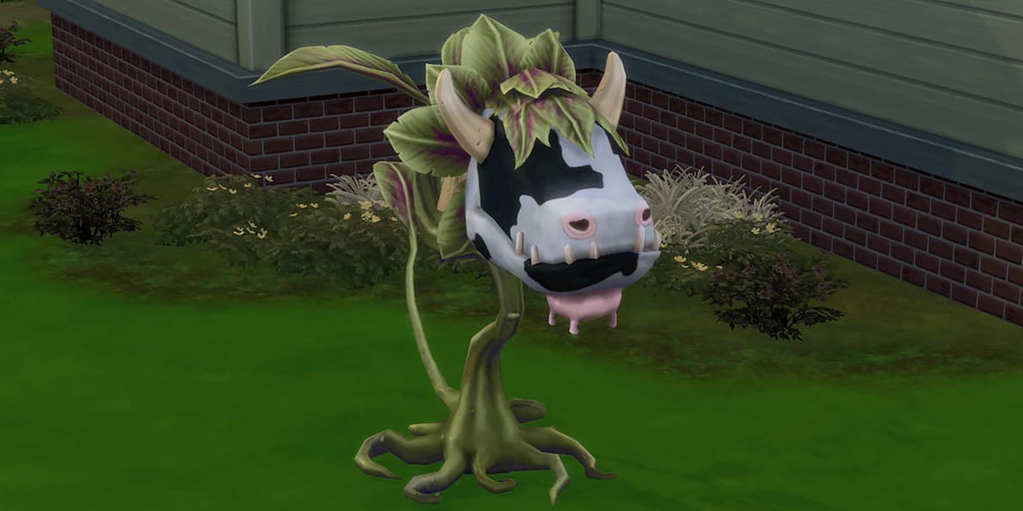 The Cow Plant In The Sims 4