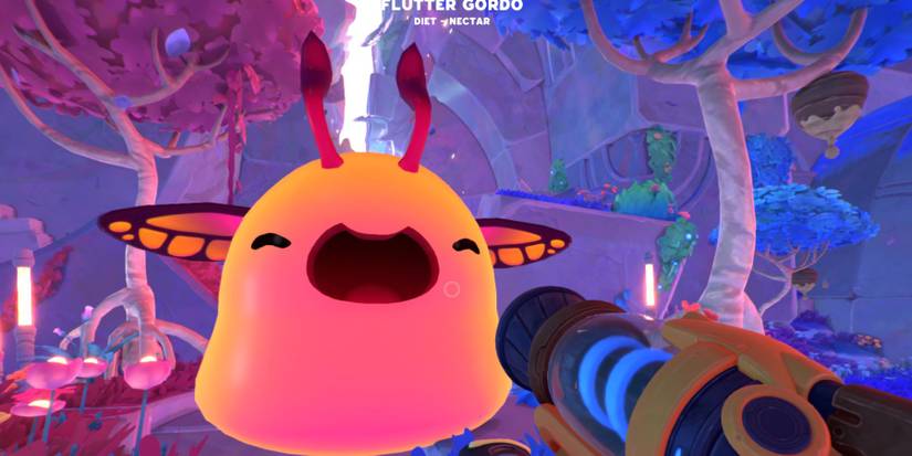 Slime Rancher 2 Flutter Gordo
