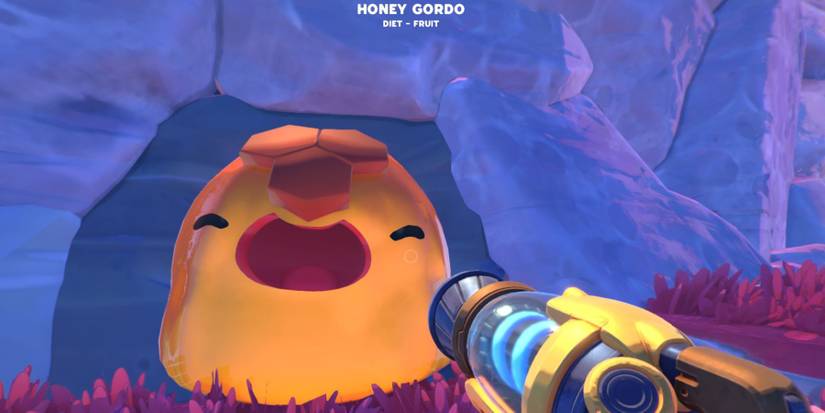 Slime Rancher 2 Honey Gordo