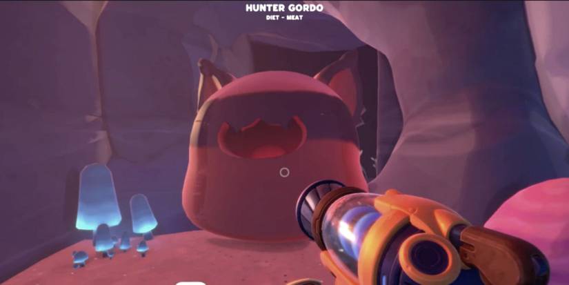 Slime Rancher 2 Hunter Gordo