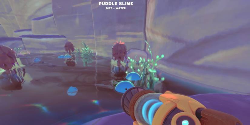 Slime Rancher 2 Puddle Slime