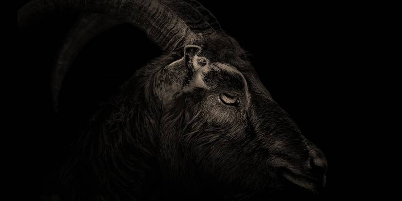 The VVitch_Black Phillip