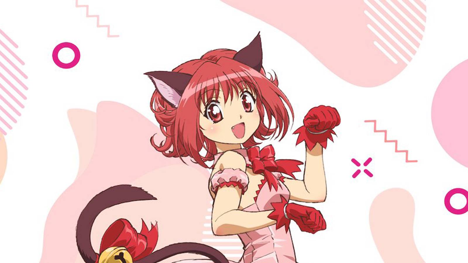 Tokyo Mew Mew New Promo Image