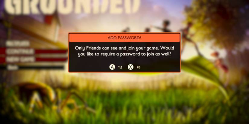 Grounded Shared Worlds Password Option